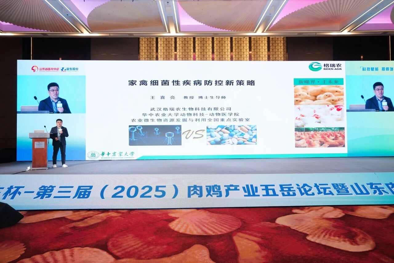 微信图片_2026-06-03_083914_658.jpg