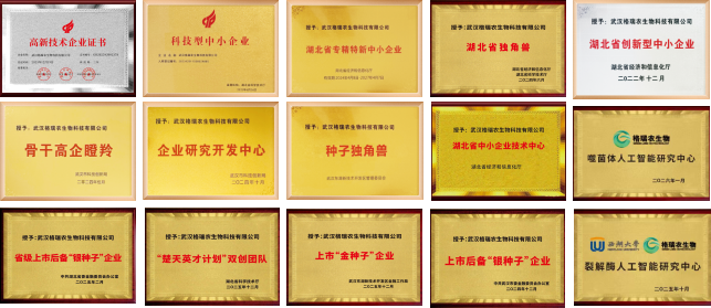 图片11.png
