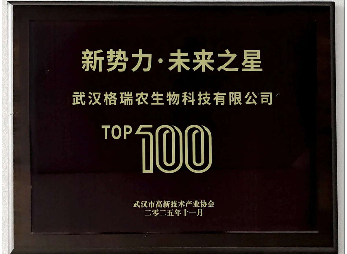武汉市新势力·未来之星TOP100