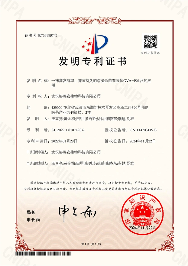 一株 高发酵率 、抑菌持 久的溶藻 弧菌噬菌 体GVA-P21 及其应用