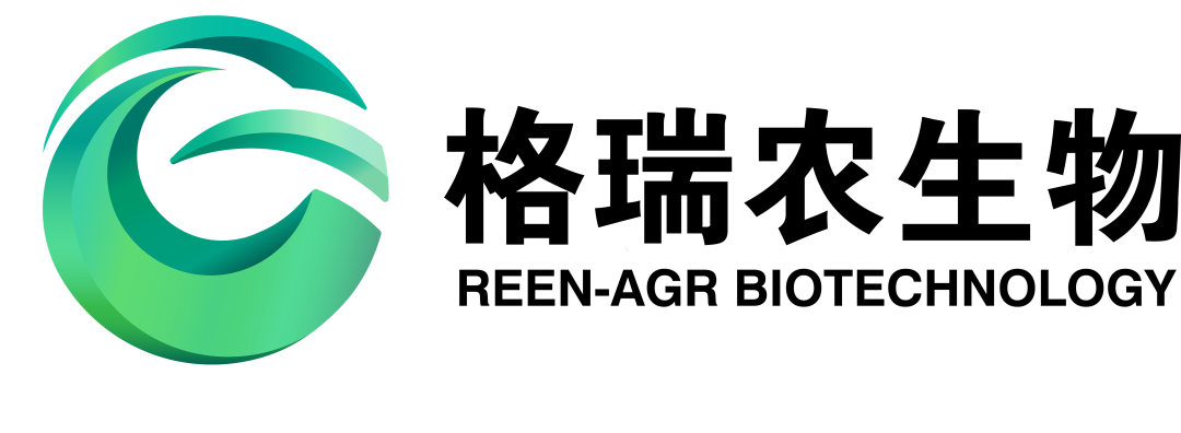 微信图片_2026-06-03_090223_480.png